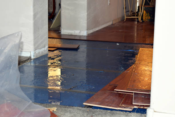 Professional Basement Flood Cleanup technician working in Cherry Plain, NY